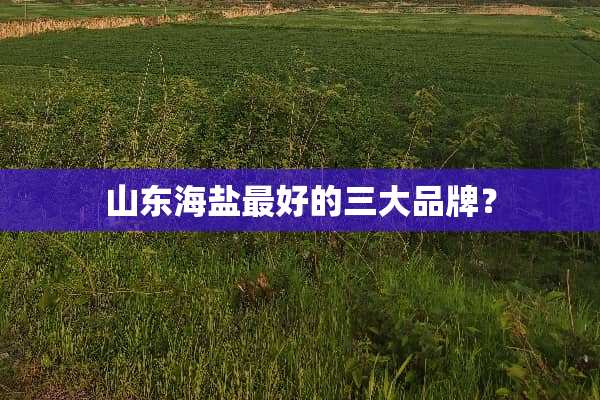 山东海盐最好的三大品牌？