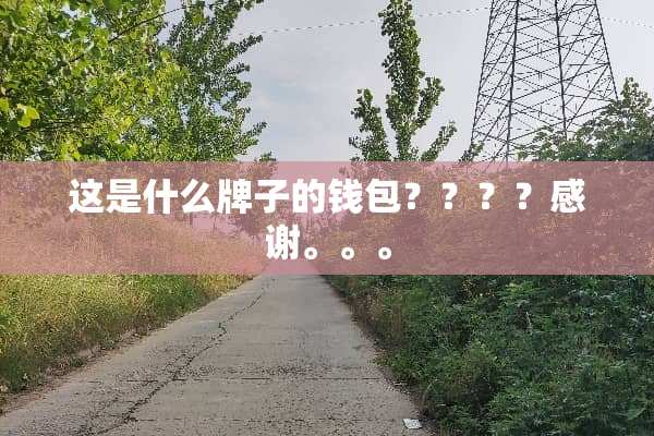 这是什么牌子的钱包？？？？感谢。。。
