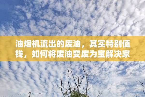油烟机流出的废油，其实特别值钱，如何将废油变废为宝解决家庭主妇的烦恼？