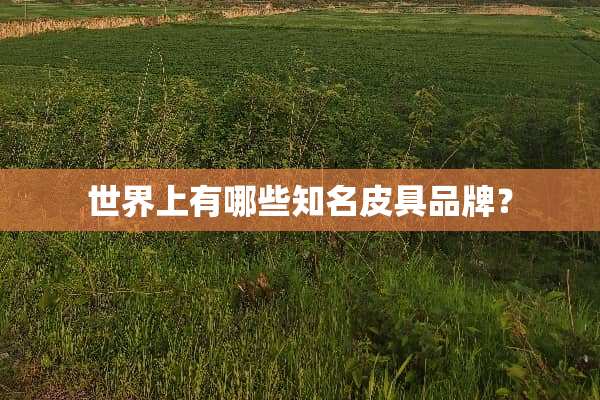 世界上有哪些知名皮具品牌？