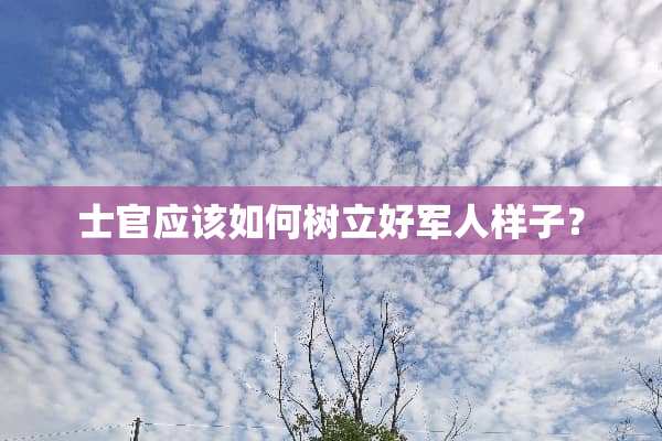 士官应该如何树立好军人样子？