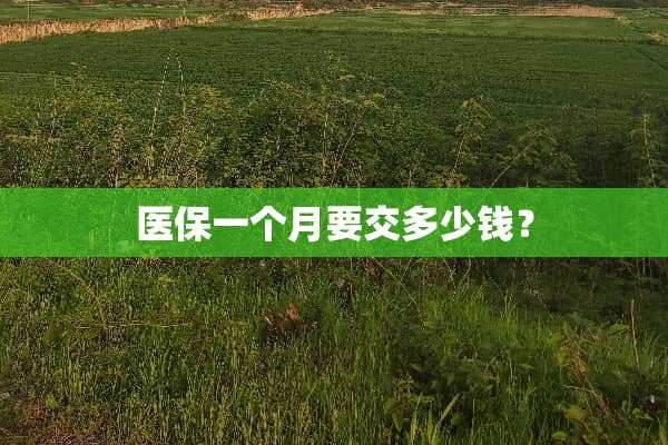 医保一个月要交多少钱？