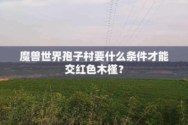 魔兽世界孢子村要什么条件才能交红色木槿？