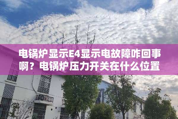 电锅炉显示E4显示电故障咋回事啊？电锅炉压力开关在什么位置？