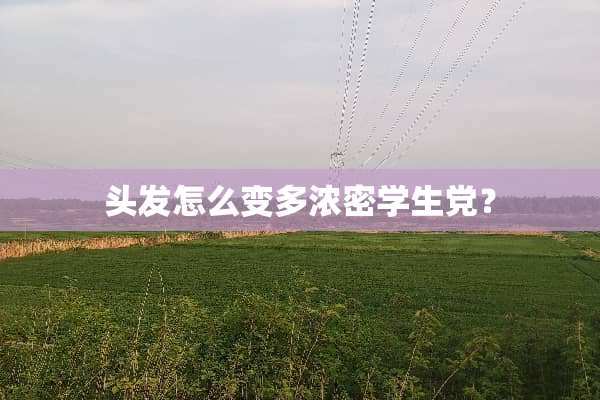 头发怎么变多浓密学生党？