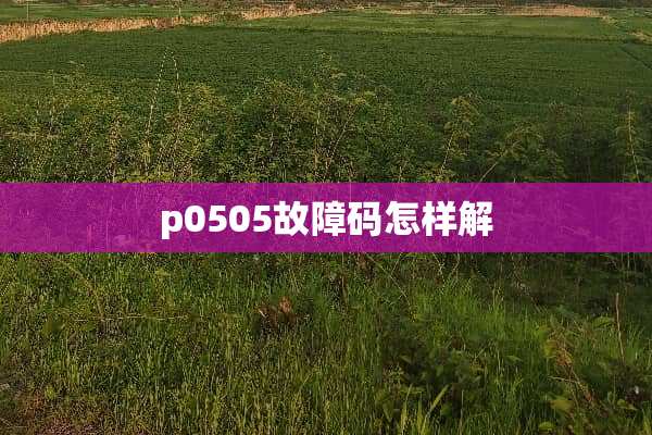 p0505故障码怎样解