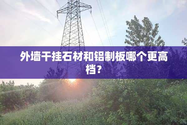 外墙干挂石材和铝制板哪个更高档？