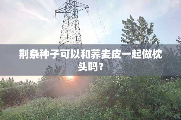 荆条种子可以和荞麦皮一起做枕头吗？