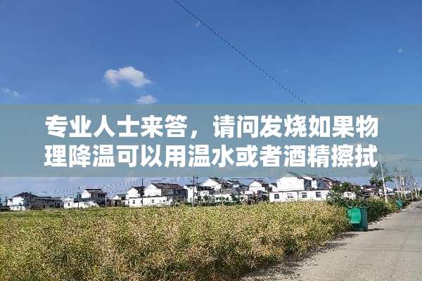 专业人士来答，请问发烧如果物理降温可以用温水或者酒精擦拭脚底吗？