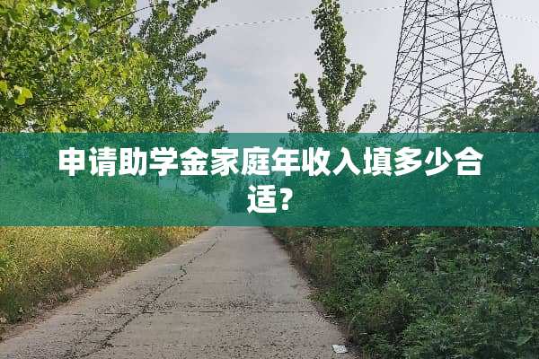 申请助学金家庭年收入填多少合适？