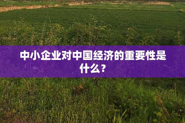 中小企业对中国经济的重要性是什么？