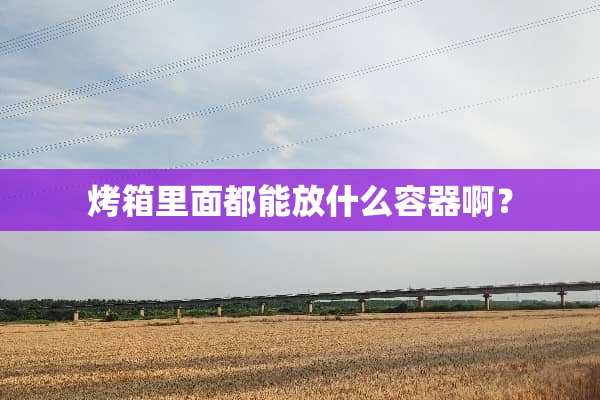 烤箱里面都能放什么容器啊？