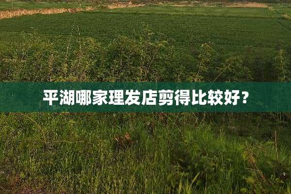 平湖哪家理发店剪得比较好？
