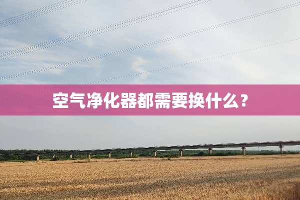 空气净化器都需要换什么？