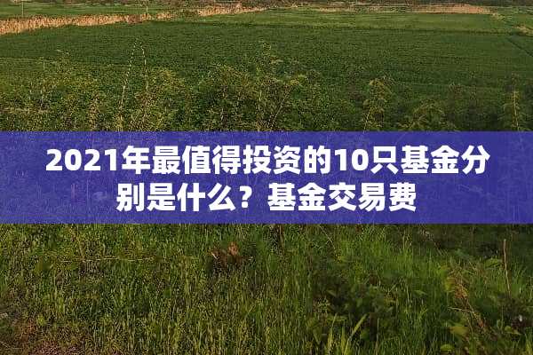 2021年最值得投资的10只基金分别是什么？基金交易费