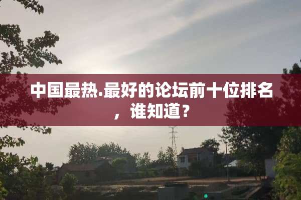 中国最热.最好的论坛前十位排名，谁知道？