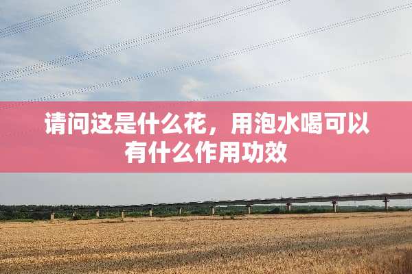 请问这是什么花，用泡水喝可以有什么作用功效