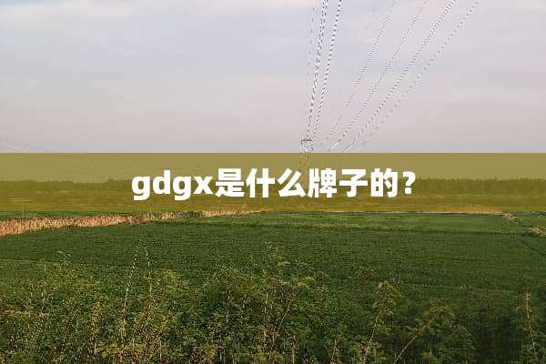 gdgx是什么牌子的？