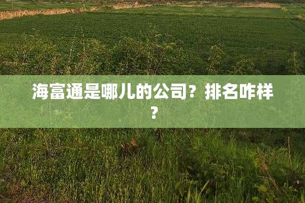 海富通是哪儿的公司？排名咋样？