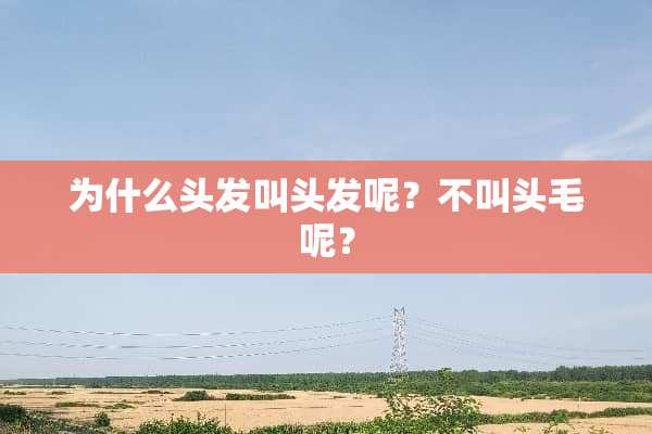 为什么头发叫头发呢？不叫头毛呢？
