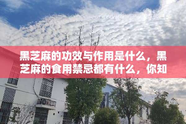 黑芝麻的功效与作用是什么，黑芝麻的食用禁忌都有什么，你知道吗？