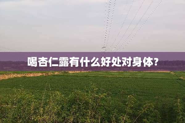 喝杏仁露有什么好处对身体？
