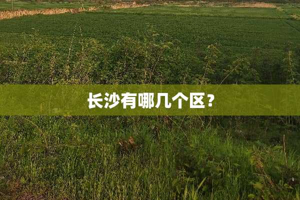 长沙有哪几个区？