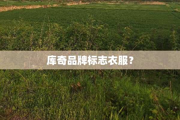 库奇品牌标志衣服？