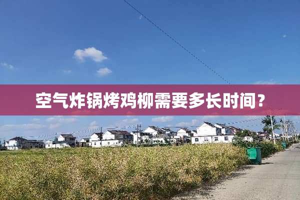 空气炸锅烤鸡柳需要多长时间？