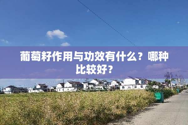 葡萄籽作用与功效有什么？哪种比较好？