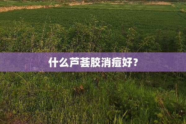 什么芦荟胶消痘好？