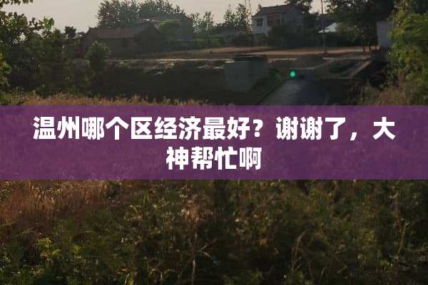 温州哪个区经济最好？谢谢了，大神帮忙啊