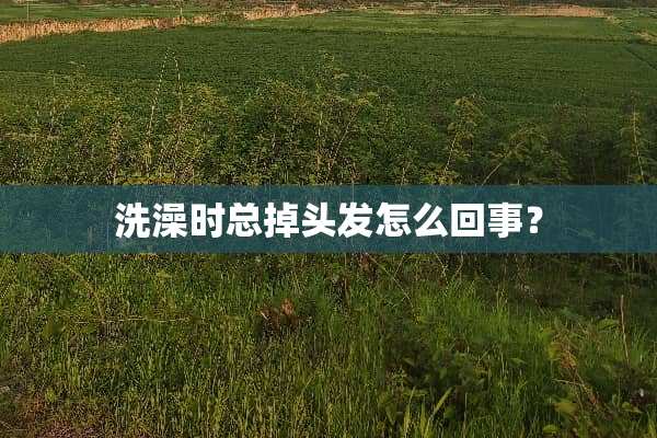 洗澡时总掉头发怎么回事？