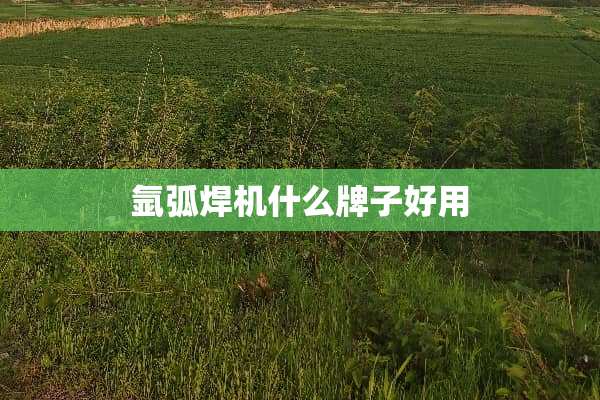 氩弧焊机什么牌子好用