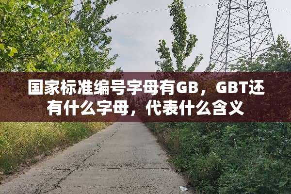 国家标准编号字母有GB，GBT还有什么字母，代表什么含义