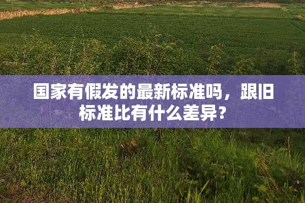 国家有假发的最新标准吗，跟旧标准比有什么差异？