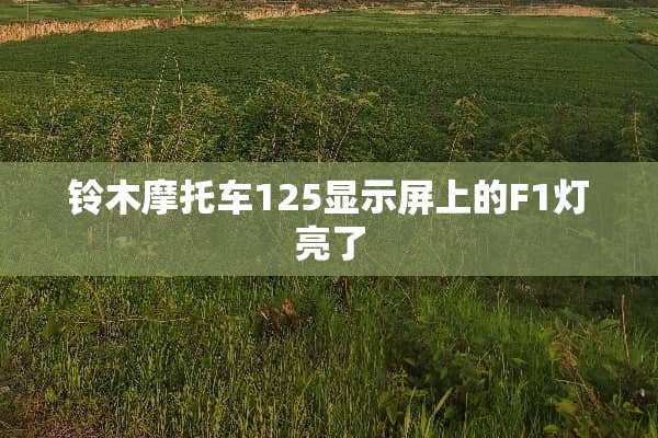 铃木摩托车125显示屏上的F1灯亮了