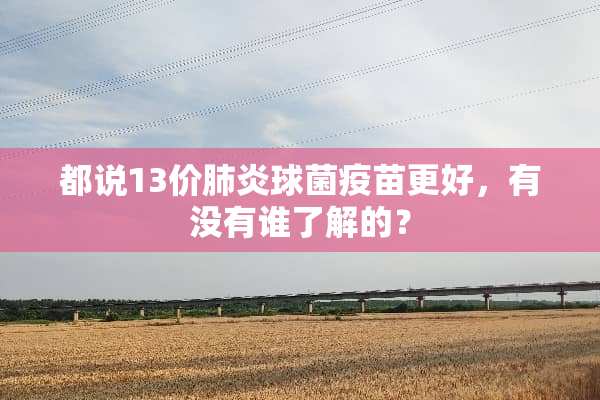 都说13价肺炎球菌**更好，有没有谁了解的？