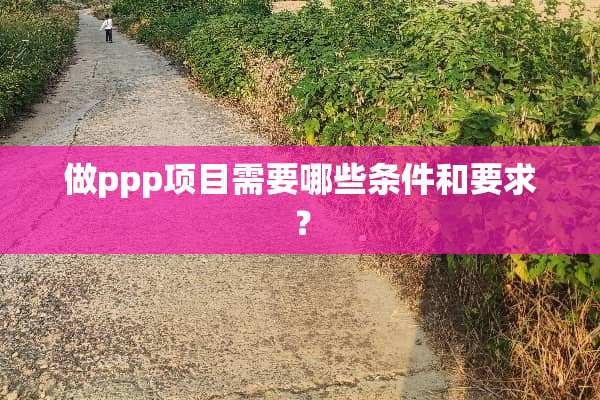 做ppp项目需要哪些条件和要求？