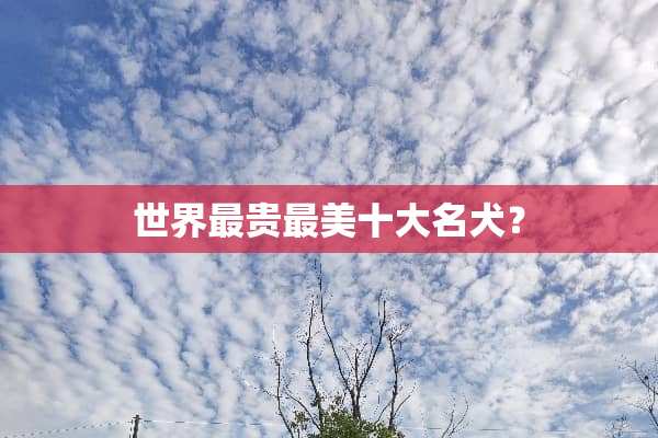 世界最贵最美十大名犬？