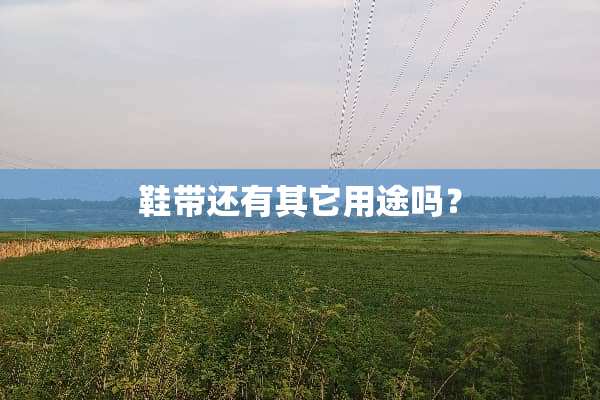 鞋带还有其它用途吗？