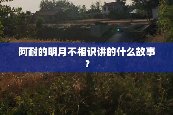 阿耐的明月不相识讲的什么故事？