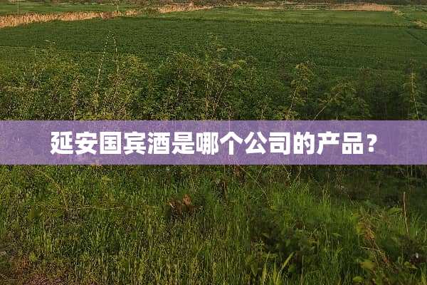 延安国宾酒是哪个公司的产品？