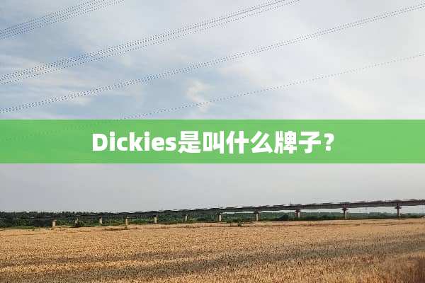 Dickies是叫什么牌子？