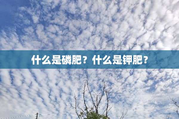 什么是磷肥？什么是钾肥？