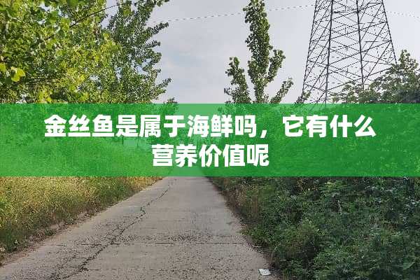 金丝鱼是属于海鲜吗，它有什么营养价值呢