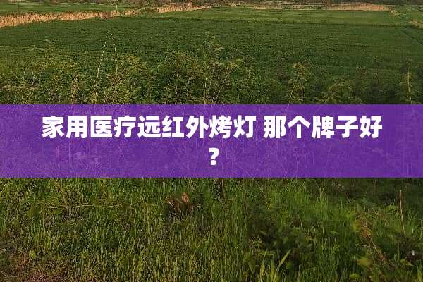 家用医疗远红外烤灯 那个牌子好？