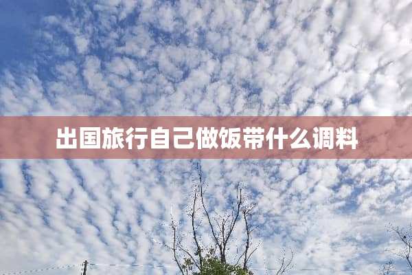 出国旅行自己做饭带什么调料