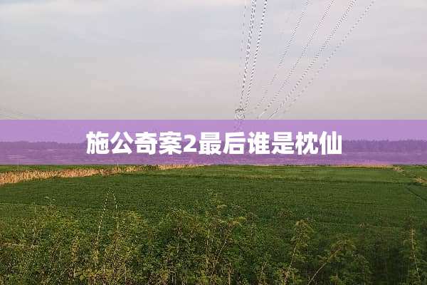 施公奇案2最后谁是枕仙