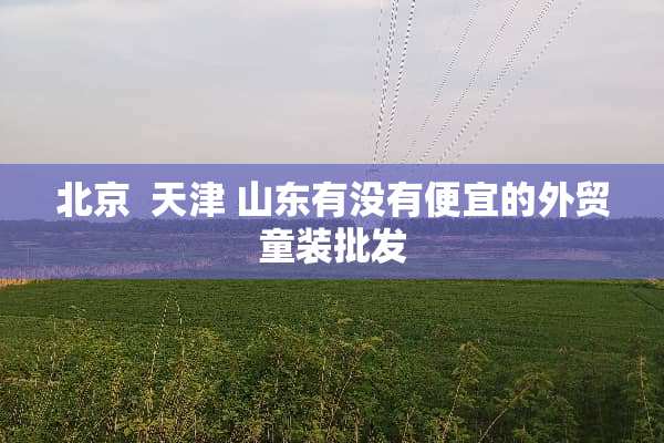 北京  天津 山东有没有便宜的外贸童装批发